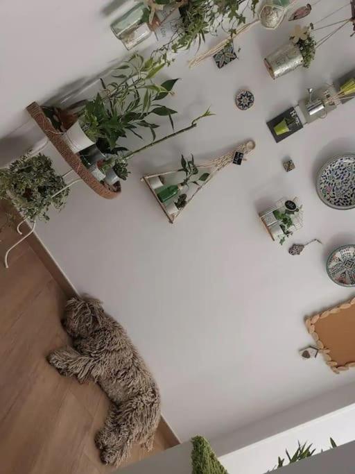 Appartamento Inocentes Siviglia